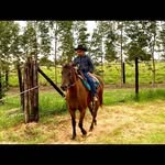 Bryan Passarelli - @bryan.passarelli - Instagram