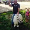 bryanpassarelli80 - @bryanpassarelli80 - TikTok