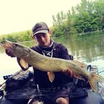 Bryan Pastor - @predator_fishing_34 - Instagram