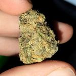 Bryan patton - @blowin_big_dope - Instagram