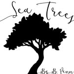 Bryan Penn - @seatrees_surfboards - Instagram