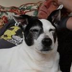 Bryan Perryman - @b._perryman - Instagram