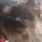 Bryan Person - Facebook