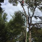 Bryan Pitt - @b_eezy31 - Instagram