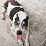 bryan.pitt - @bryan.pittt - Instagram