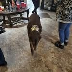 Bryan Pittman - @b.pittman1949 - Instagram