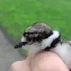 Bryan Pittman - @bryan.pittman7 - TikTok