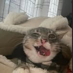 Bryan Polanco - @el._.polanco - Instagram