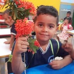 Bryan Duarte Portela - @bryan.duarte.02 - Instagram