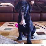 Bryan Porter - @_bp_410 - Instagram