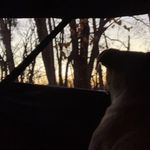 Bryan Porter - @bryan_the_porter - Instagram