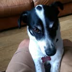 bryan preston - @buzzpreston56 - Instagram