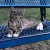 Bryan Ramos - @bryan.ramos45 - TikTok