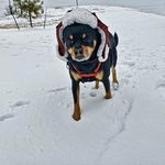 Bryan Raney - @doppler_the_great - Instagram
