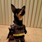 Bryan Raney - @roostafuzz - Instagram