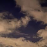 Bryan R - @bryan_reece - Instagram