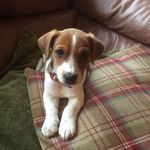 Bryan Reed - @bryan.reed.16547 - Instagram