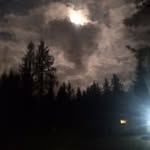Bryan Reed - @reed_bryan - Instagram