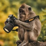 Bryan Reed - @b.reed.photography - Instagram