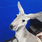 Bryan Reed - @awesomerichkid123 - Instagram