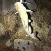 bryanreese33 - @bryanreese33 - TikTok