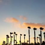 Brian Reuter - @mmsob23 - Instagram