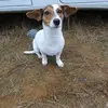 Brian Reuter - @brian.reuter7 - TikTok