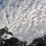 Bryan Richards - @dragooo6827 - Instagram
