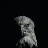 Bryan Richards - @bryoskii - TikTok