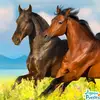 cowboy friendly - @bryantrooney53 - TikTok