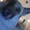 Bryan Rouse - @martian_velociraptor - TikTok
