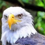 Bryan Rudolph - @sacco5961 - Instagram