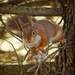 Brian Rutter - @brian.rutter.0208 - Instagram