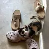 Bryan Sadlermeg - @bryan.sadlermeg - TikTok