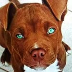 Brian Salisbury - @brian.salisbury - Instagram