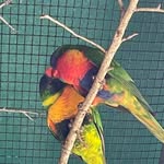 Bryan Salisbury - @salisbury6335 - Instagram