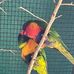Bryan Salisbury - Facebook