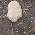 Bryan Sapp - Facebook