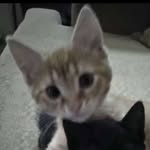 BryanMiguleSapp - @bryansapp_16 - Instagram