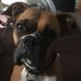 Brian Saylor - Facebook