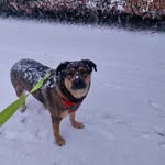 Bryan Schneider - @bryanschneider221 - Instagram