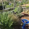 bryanschneider79 - @bryanschneider79 - TikTok