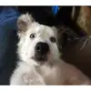 bryanschoenfelder - @bryanschoenfelder - TikTok