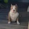 Brian Schon - @schon27460 - TikTok