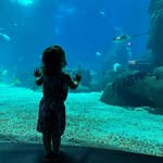 Brian Schram - @bschram32 - Instagram