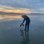 @bryan.seale - Instagram