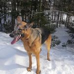 Bryan S - @bryan.seal - Instagram