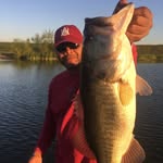 Bryan Seals - @skillzonreelz - Instagram