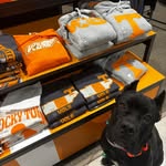 Bryan Seals - @bryan_seals_corso_dad - Instagram
