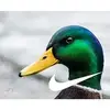 Brian Seeley - @brianseeley5 - TikTok